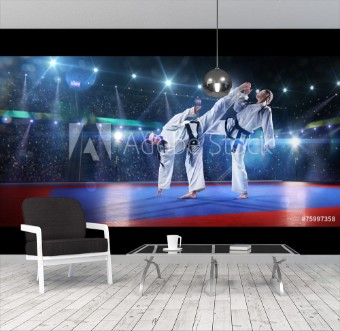 Picture of Two professional female karate fighters are fighting